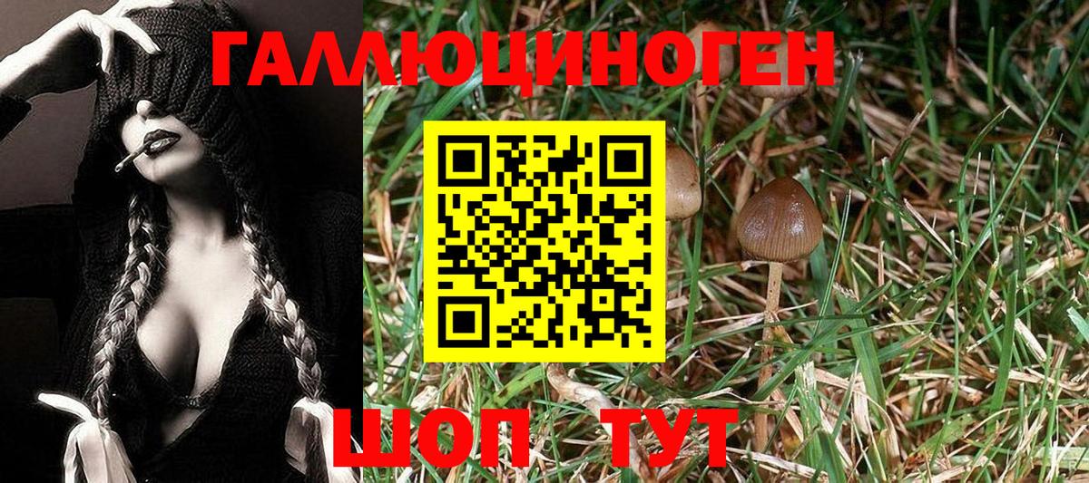 Псилоцибиновые грибы Cubensis Кубинка
