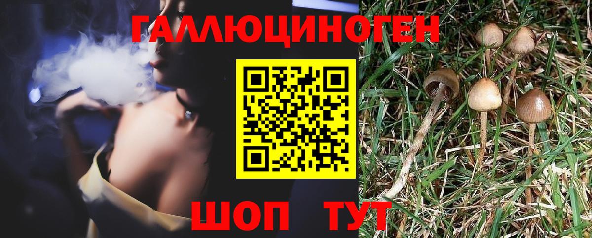 Псилоцибиновые грибы прущие грибы  Вход с VPN  Кубинка 