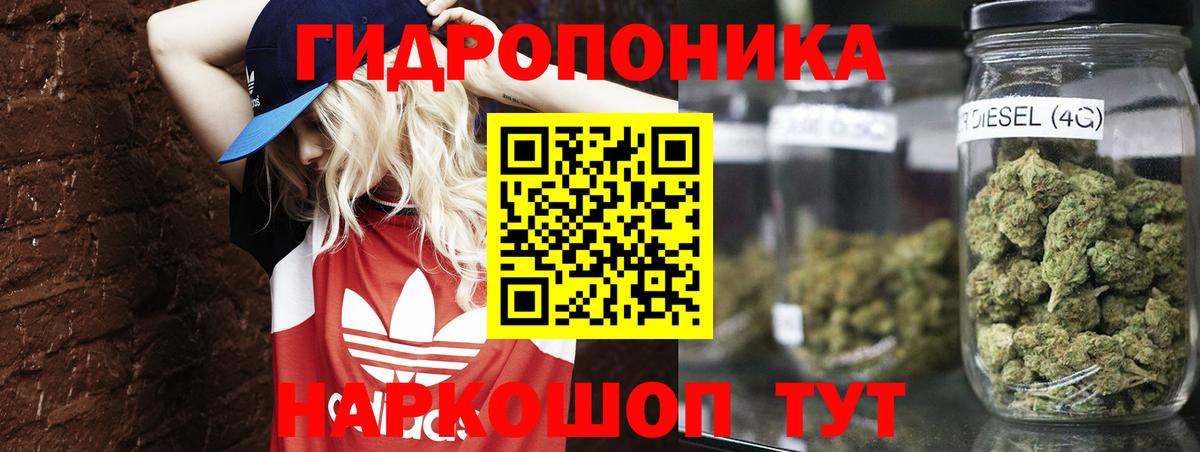 Каннабис конопля Кубинка